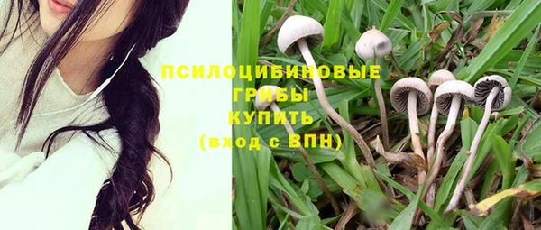 MESCALINE Магадан